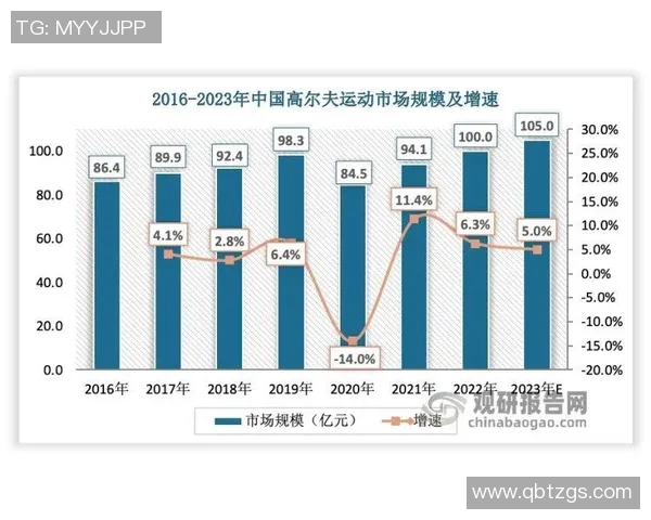 深圳羽毛球队心理素质分析及其对比赛表现的影响研究 深圳羽毛球队心理素质分析及其对比赛表现的影响研究